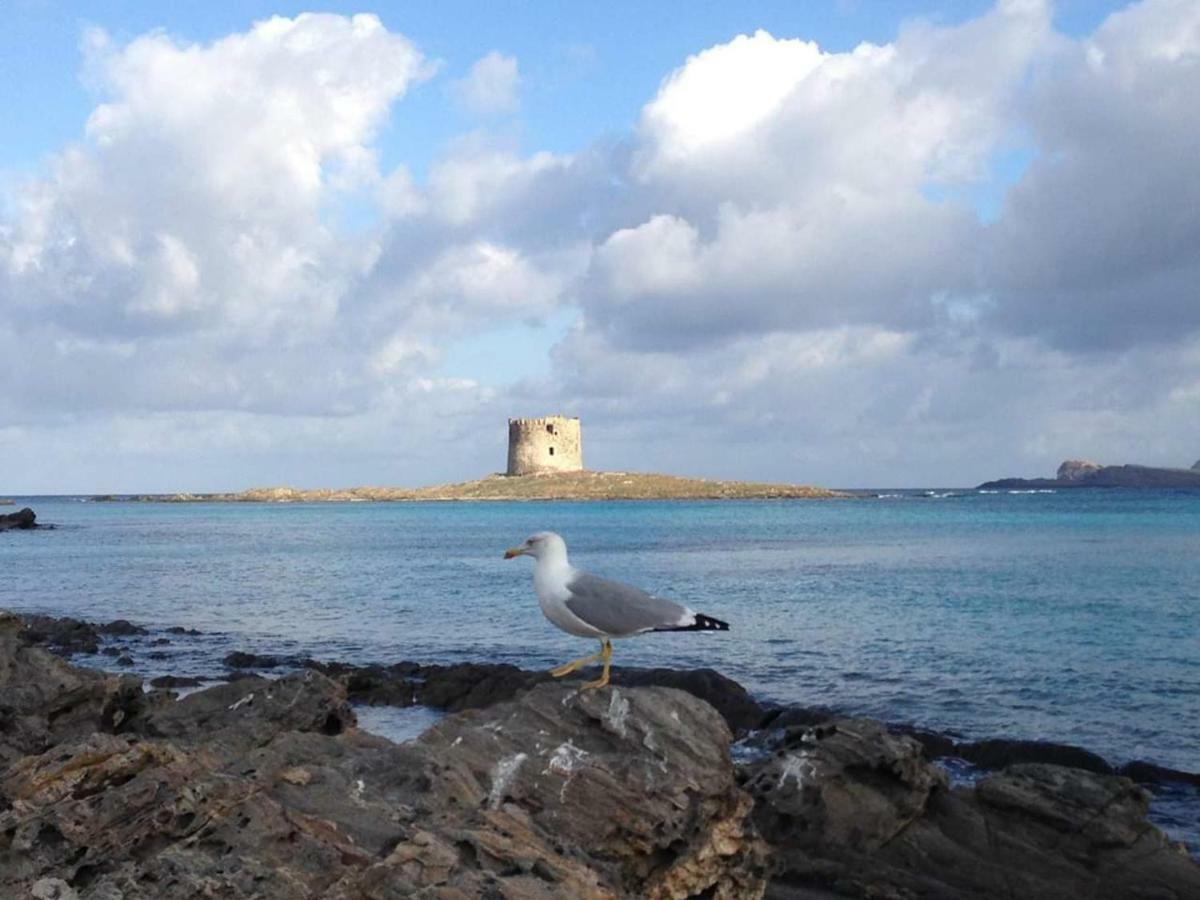 Maria Antonietta House Villa Porto Torres Luaran gambar